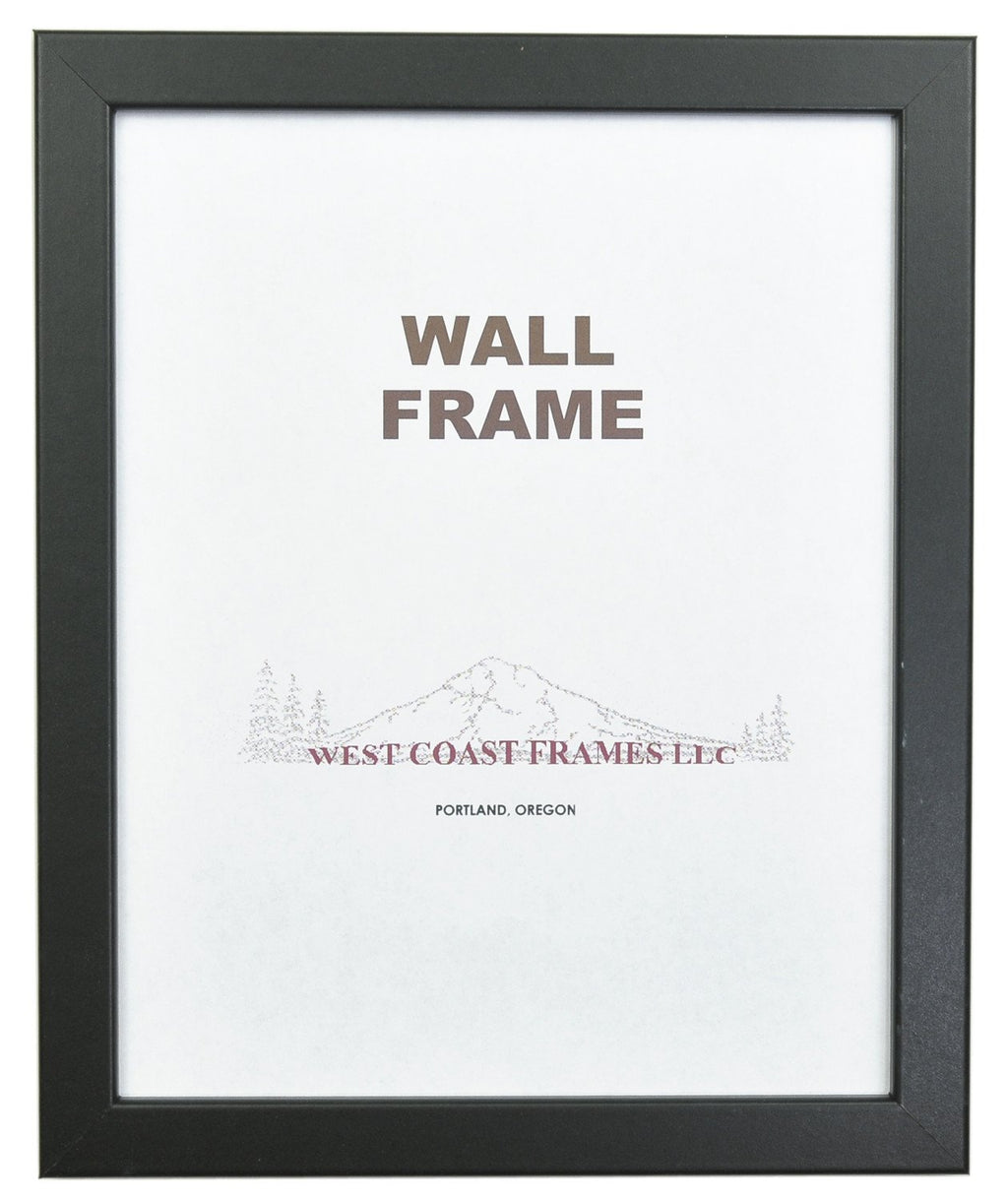 Picture Frame Multiple Color -  Gray 72030 - White 72021 - Gold 72054 - MADE IN USA